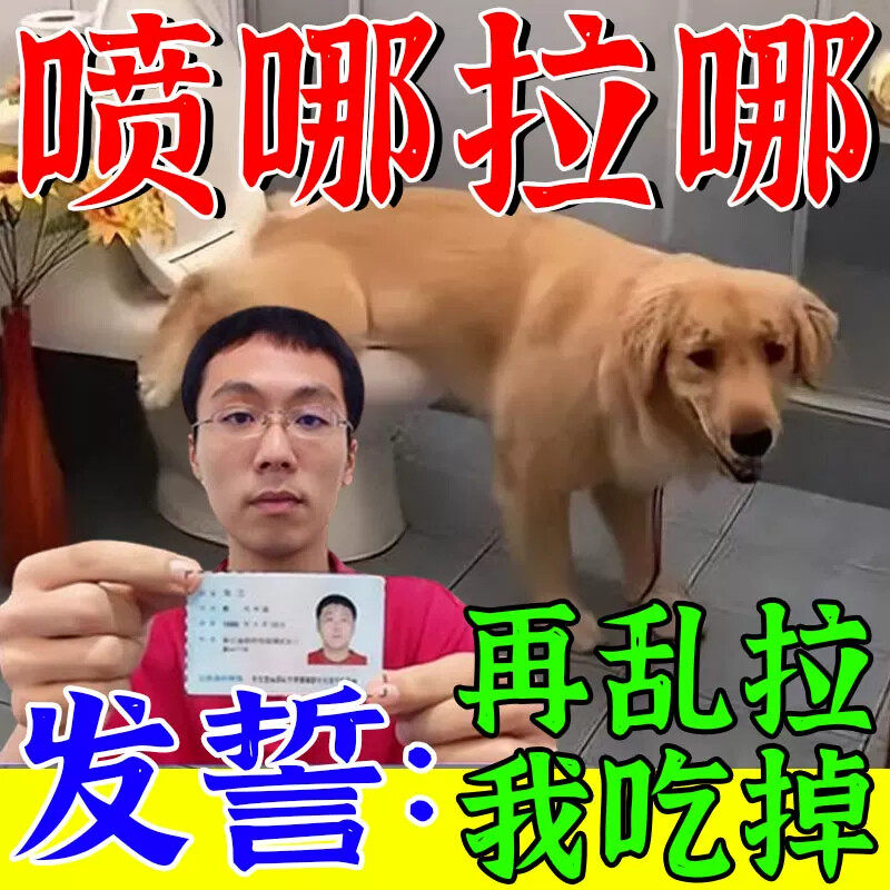 当晚学会】狗狗定点上厕所神器训练宠物狗大小排便不乱拉屎诱导剂