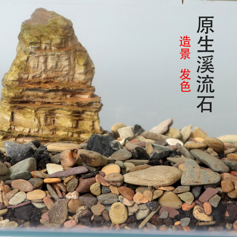 天然原生溪流沙溪流石鱼缸造景装饰古法养鱼乌龟多彩石头子底砂石,宠物/宠物食品及用品,造景/装饰,淘宝优惠券,粉丝福利购,淘宝优惠卷