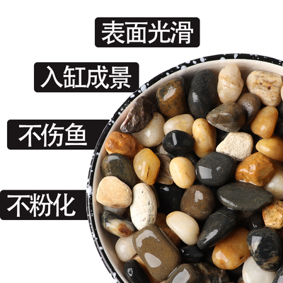 溪流石鱼缸底砂造景套餐