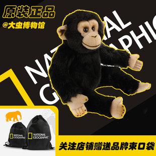 国家地理毛绒玩具黑猩猩动物公仔模型摆件抱枕大猩猩雨林礼物生日
