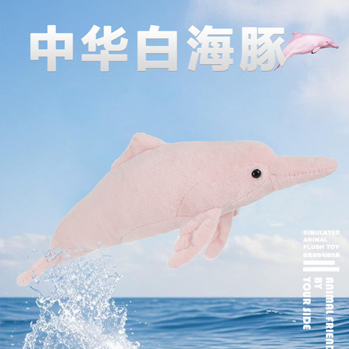正品国家地理，假一赔十