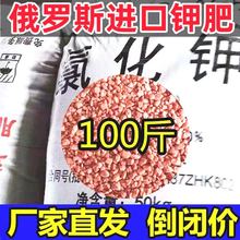 进口红钾肥100斤俄罗斯氯化钾直销价原装尿素复合肥料小麦水稻肥