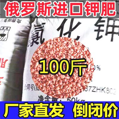 进口红钾肥100斤俄罗斯氯