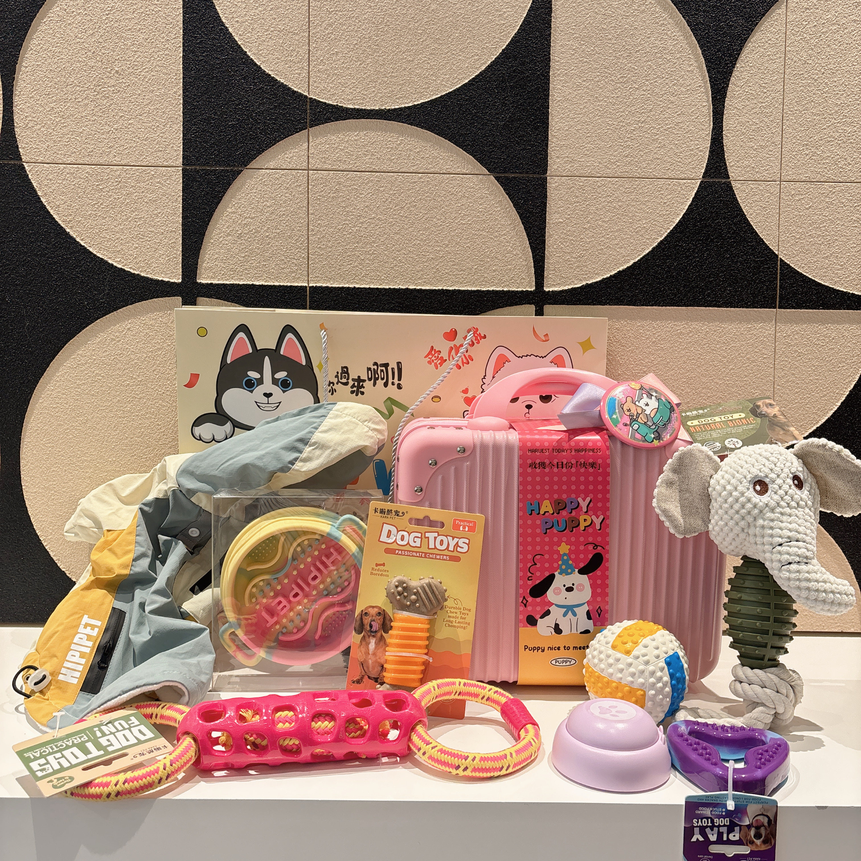 宠物生日伴手礼宠物周岁生日礼品宠物狗狗用品狗狗玩具