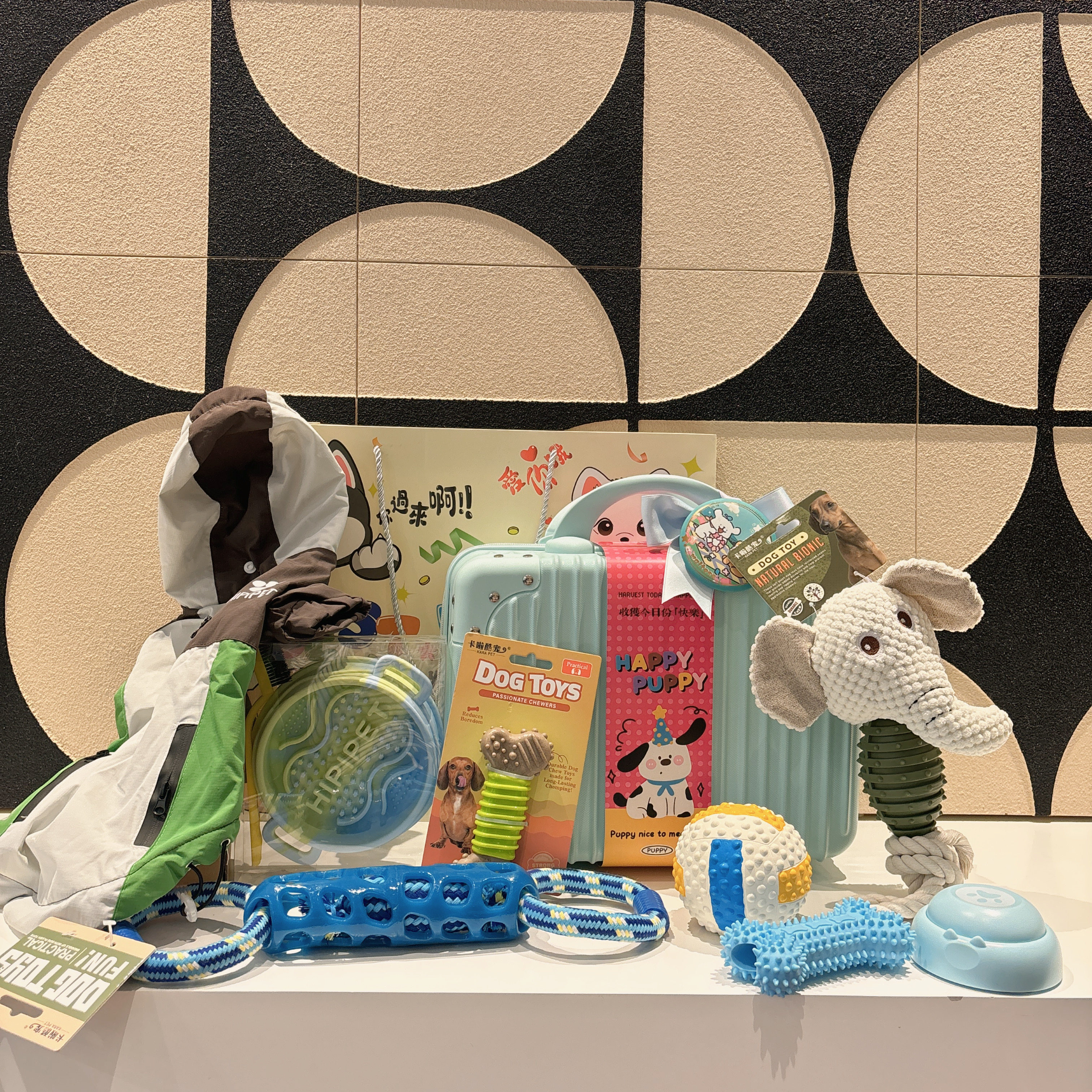 宠物生日伴手礼宠物周岁生日礼品宠物狗狗用品狗狗玩具狗狗磨牙