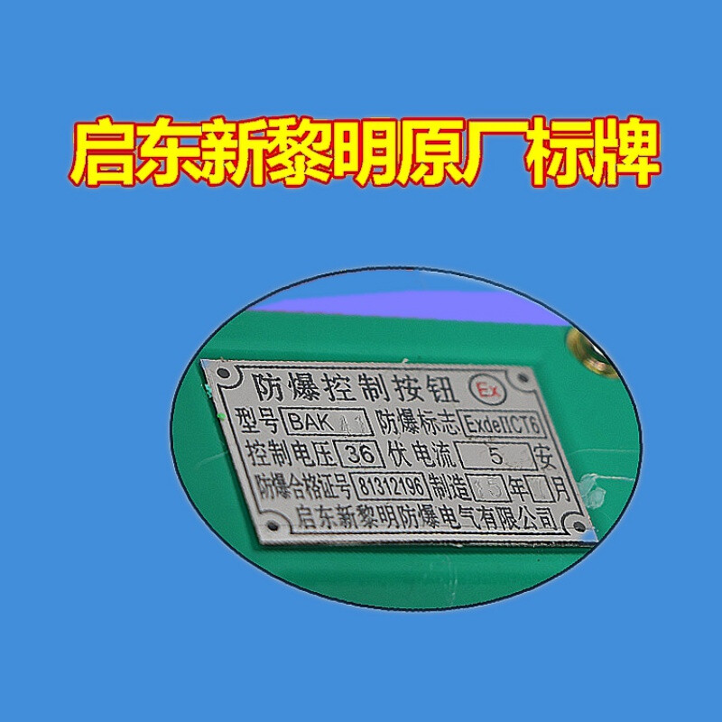 新品定制电动葫芦手柄开关BAK21BAK31BAK41启东新黎明控制按钮BAK