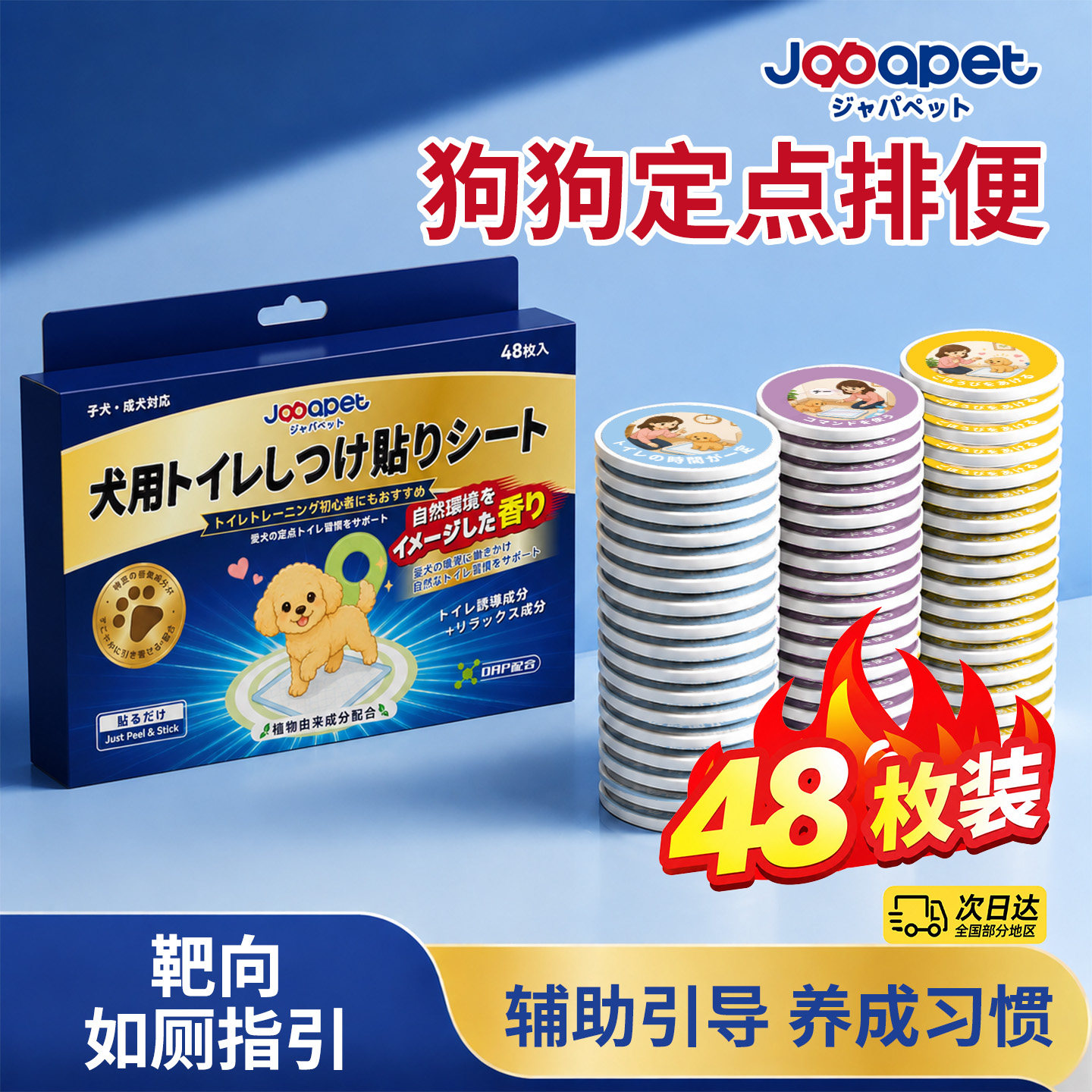 日本品牌japapet狗狗定点训练器