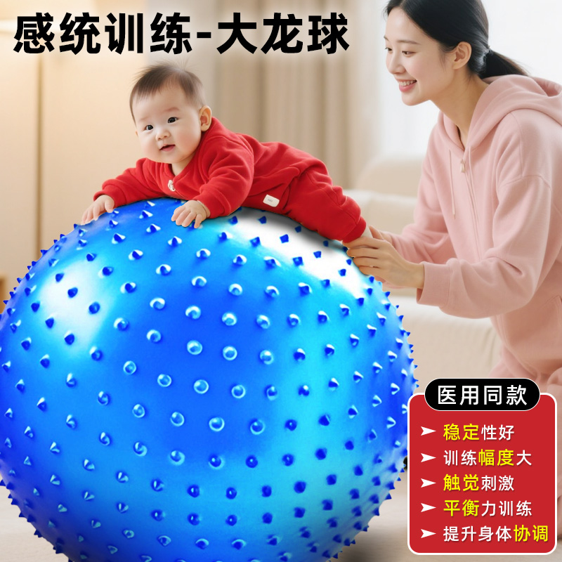 哈宇100cm防爆感统球大龙