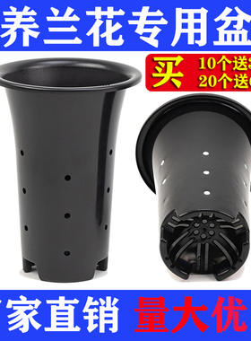 侬花村兰花专用花盆 养兰花盆塑料加高特大号透气沥水 大号兰草盆