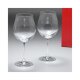 Glass 日本直邮Baccarat Degustat 酒杯一对Degustation Baccarat