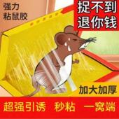 强力粘鼠胶加大加厚粘蝇纸超强引诱秒粘一窝端家用捕鼠器