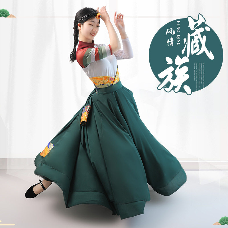 藏服长裙藏族舞服舞蹈演出服装半身大摆裙新款藏式民族女长款套装