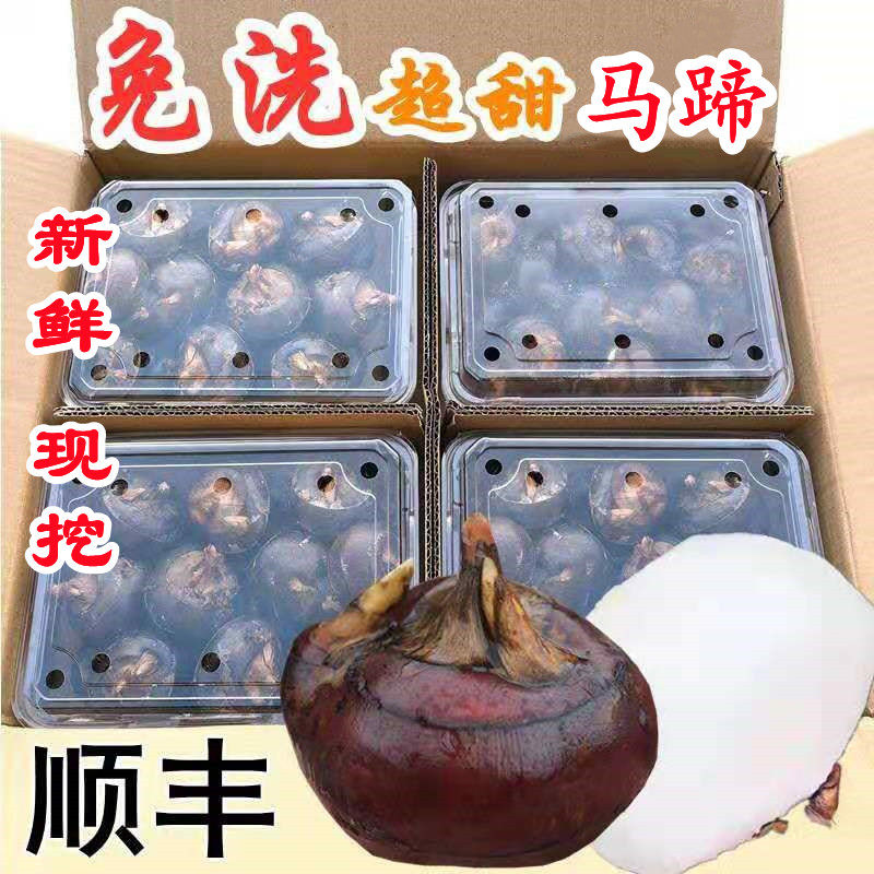 荸荠免洗马蹄脆甜无渣当季水果