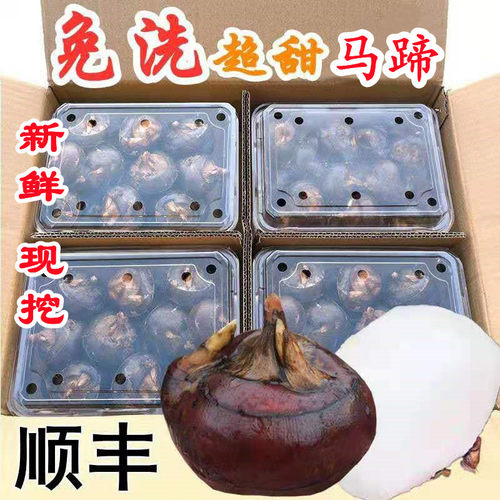 荸荠免洗马蹄脆甜无渣当季水果