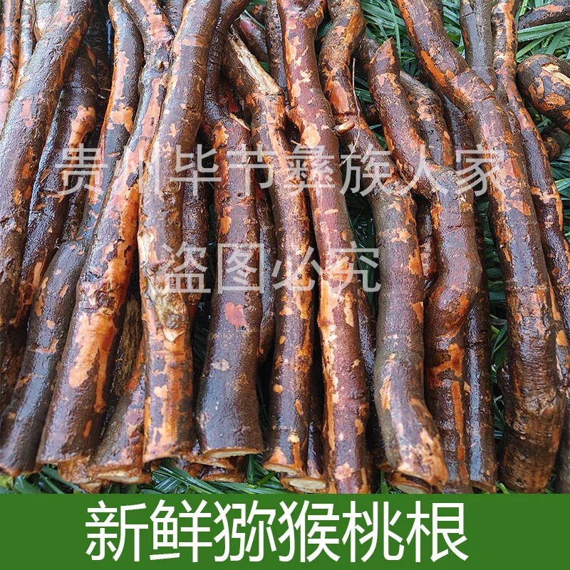 贵州野生新鲜猕猴桃根猕猴桃根猕猴桃根猕猴桃根猕猴桃根