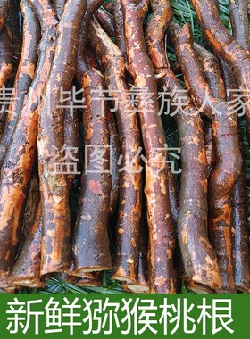 贵州野生新鲜猕猴桃根猕猴桃根猕猴桃根猕猴桃根猕猴桃根新鲜现挖