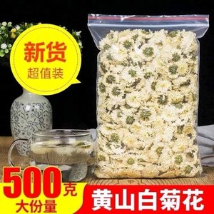 产地直销白菊花500g黄山干净无杂