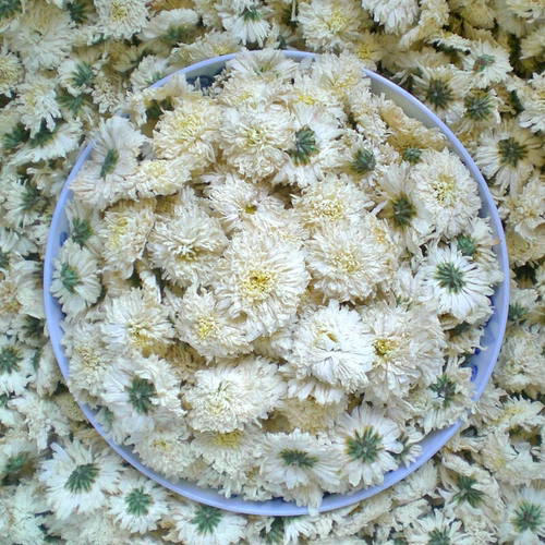 菊花茶500g安徽黄山干净无杂
