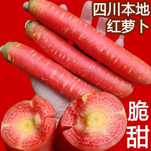 四川红萝卜脆甜现挖新鲜胡萝卜
