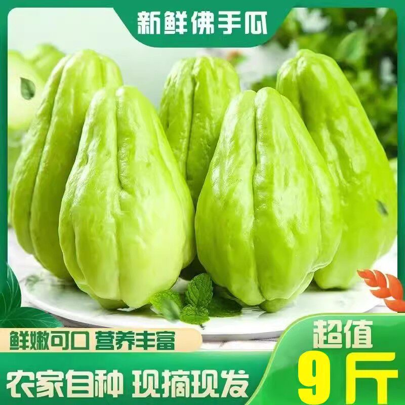 四川佛手瓜新鲜洋瓜丰收瓜福寿瓜洋茄子农家自种当季蔬菜现摘现发