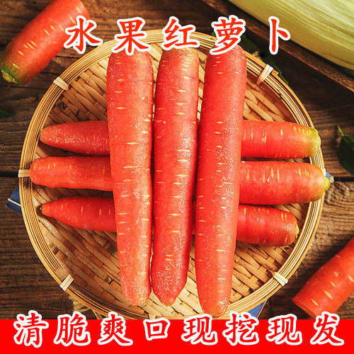 新鲜水果红萝卜农家自种甜萝卜