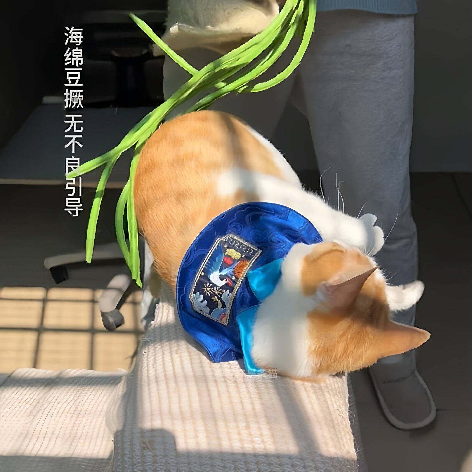 仿真豆橛子鞭子逗猫棒打屁股宠物玩具用品PU材质自嗨解闷互动游戏