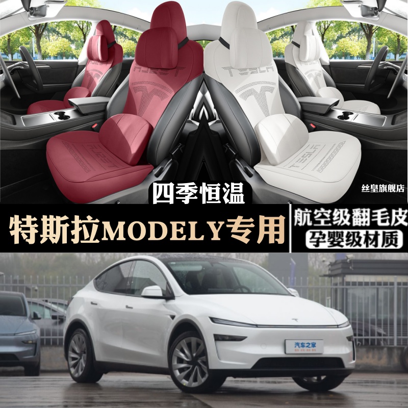 25款特斯拉焕新MODELY专车专用