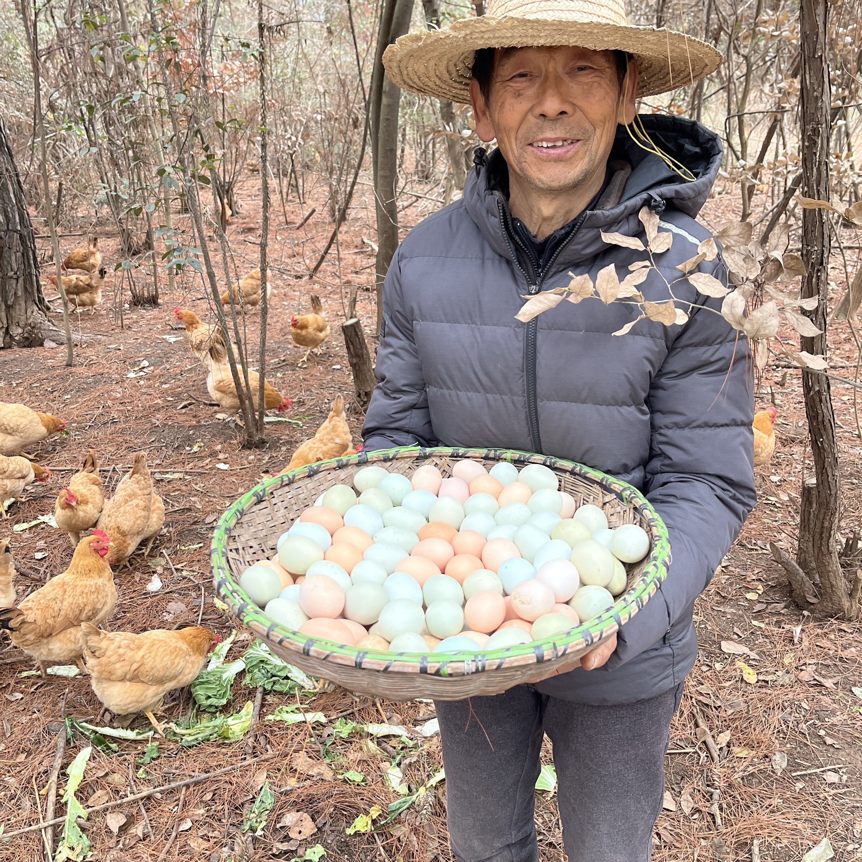 60枚茶果山松林土鸡蛋（生态蛋）农家 当日 新鲜食用