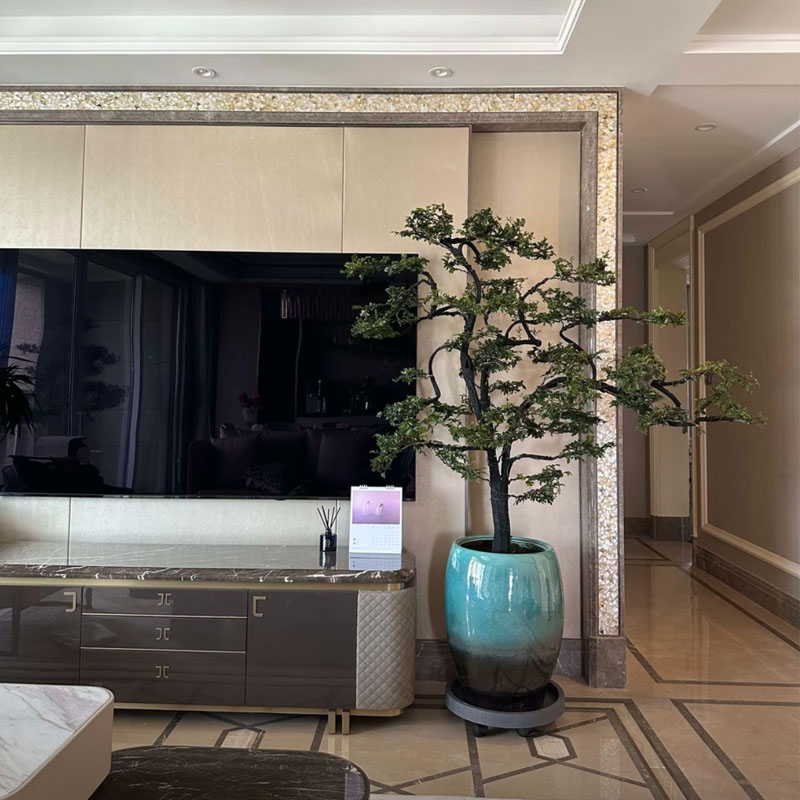 小叶紫檀盆栽黑骨茶盆景客厅庭院别墅名贵树老桩造景四季常青绿植