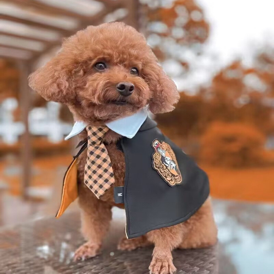 狗狗配饰物哈利波特魔法披风