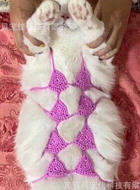 网红手工毛线小猫咪比基尼宠物