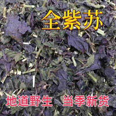 野生紫苏叶中药材食用泡水泡茶