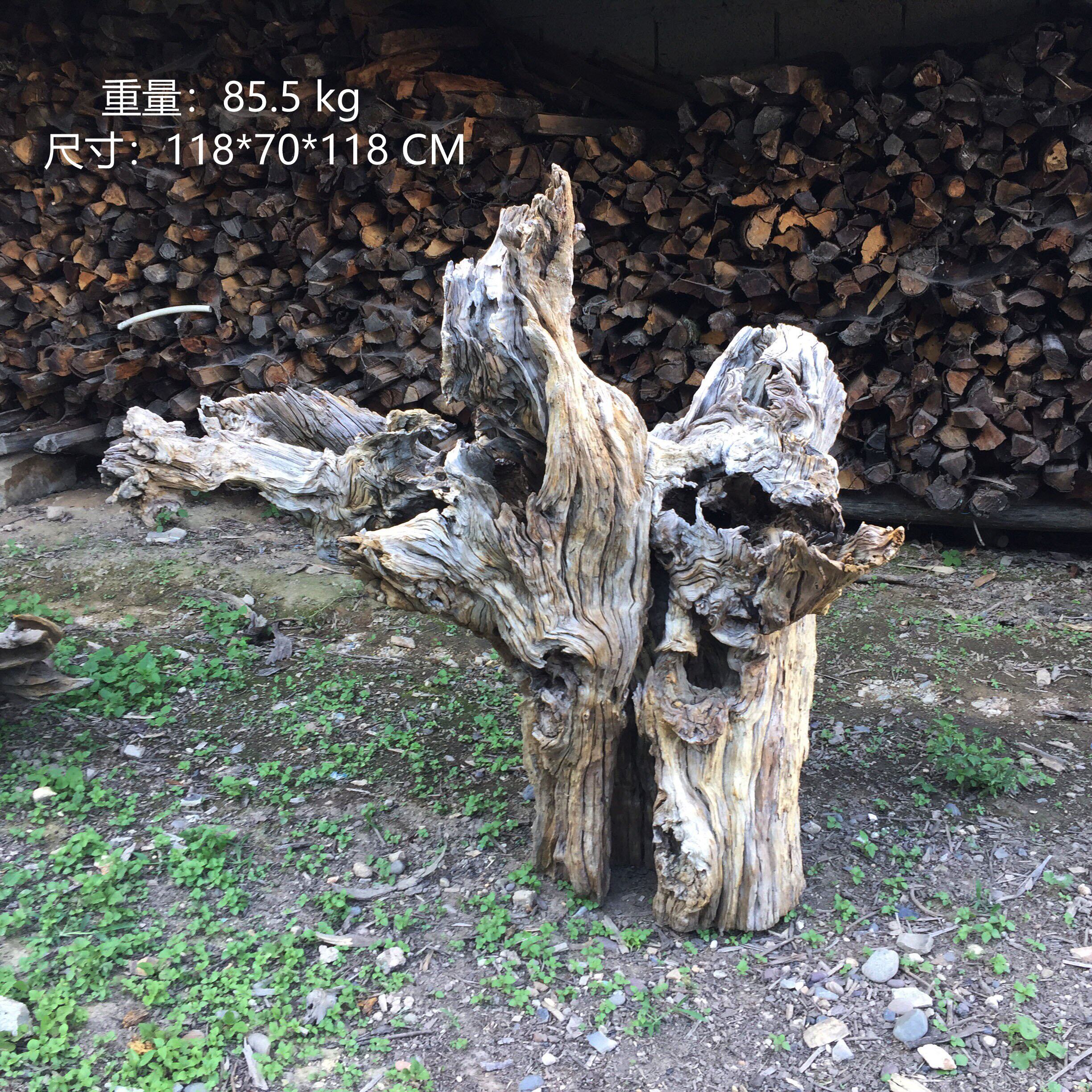 树根老树桩枯木风化木原木根鱼缸爬宠庭院户外公园雨林景观造景