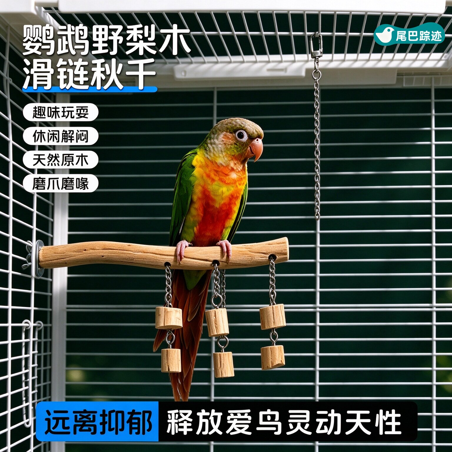 鹦鹉不锈钢滑链秋千啃咬玩具益智解闷虎皮牡丹玄凤宠物鸟站杆