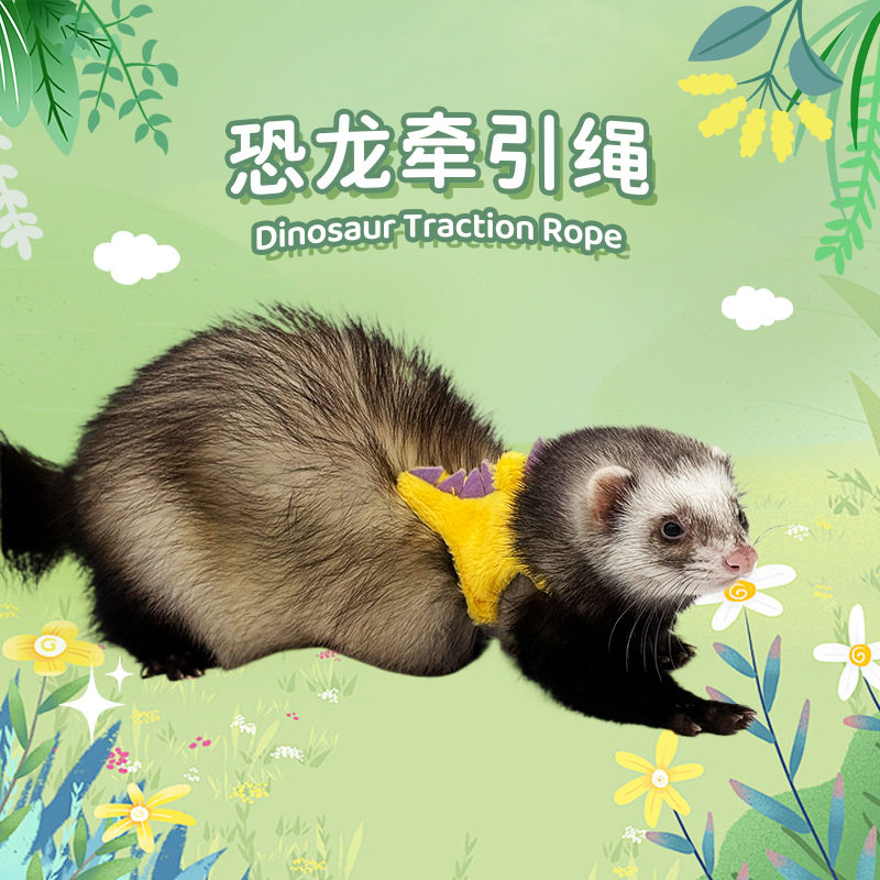 宠物貂雪貂恐龙牵引绳背心式貂链衣服小龙貂水貂狐獴松鼠厂家直供,宠物/宠物食品及用品,宠物周边及其他,淘宝优惠券,粉丝福利购,淘宝优惠卷