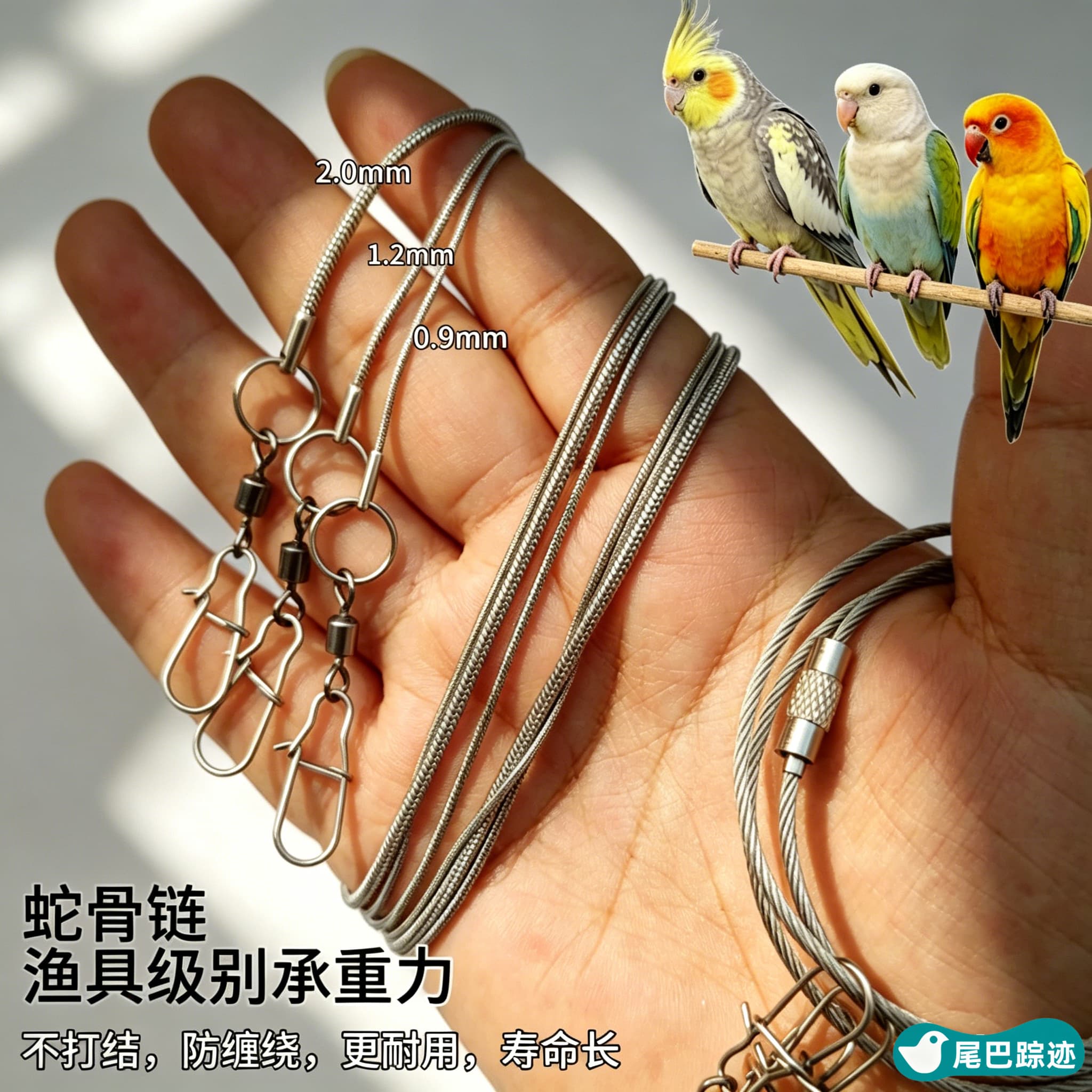不锈钢鹦鹉脚链栓鸟遛鸟放飞绳合金脚环蛇骨绳牡丹玄凤脚环飞行绳