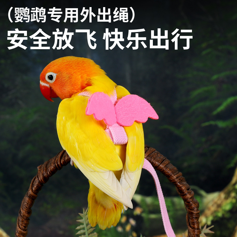 鸟用鹦鹉放飞绳玄凤虎皮牡丹牵引绳飞行外出背带遛鸟用品玩具
