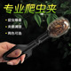 爬宠夹子活体蟋蟀杜比亚面包虫大麦虫镊子夹虫器鬃狮守宫夹便工具
