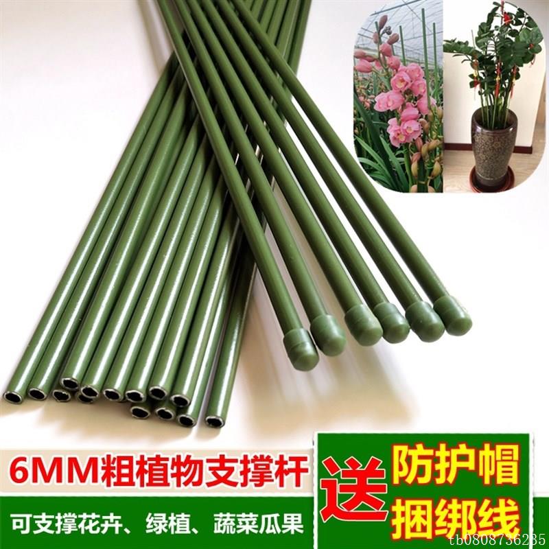 6mm空心钢管植物支撑棍养花支架花草扶正绣球龟背竹惠兰定型花杆