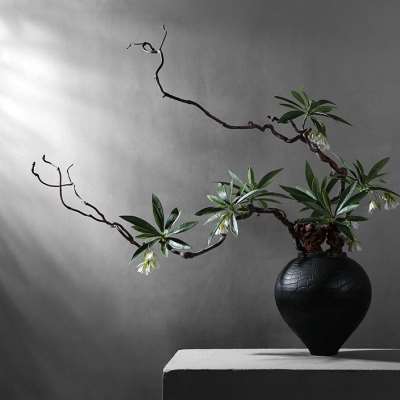 禅意造型弯曲树枝装饰花艺造景天然干支枯树枝摆件龙须龙枣树枝