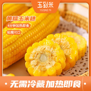 玉到米鲜食黄糯玉米棒新鲜现摘真空东北香甜粘黏苞米粗粮早餐代餐