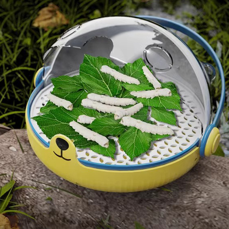 蚕宝宝学生养蚕套装太空舱培育饲养盒七彩活物体新鲜桑叶蚕卵