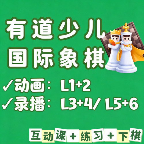 有道国际象棋L1+2卡搭动画ai课L3+4L5L6纵横录播可对弈Chess&Fun