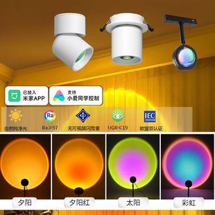磁吸日不落明装射灯已接入米家APP家用玄关过道灯网红氛围灯拍照