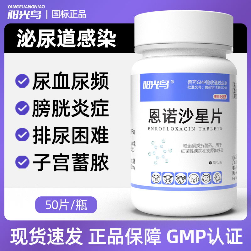 阳光鸟宠物犬猫尿路感染产后消炎