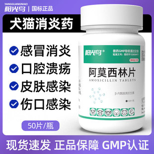 猫咪感冒药猫支鼻咳嗽宠物狗狗幼犬消炎肺部感染打喷嚏流鼻涕气喘