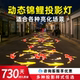 动态特效投影灯锦鲤鱼户外广告公园图案亮化地面氛围定制门头射灯