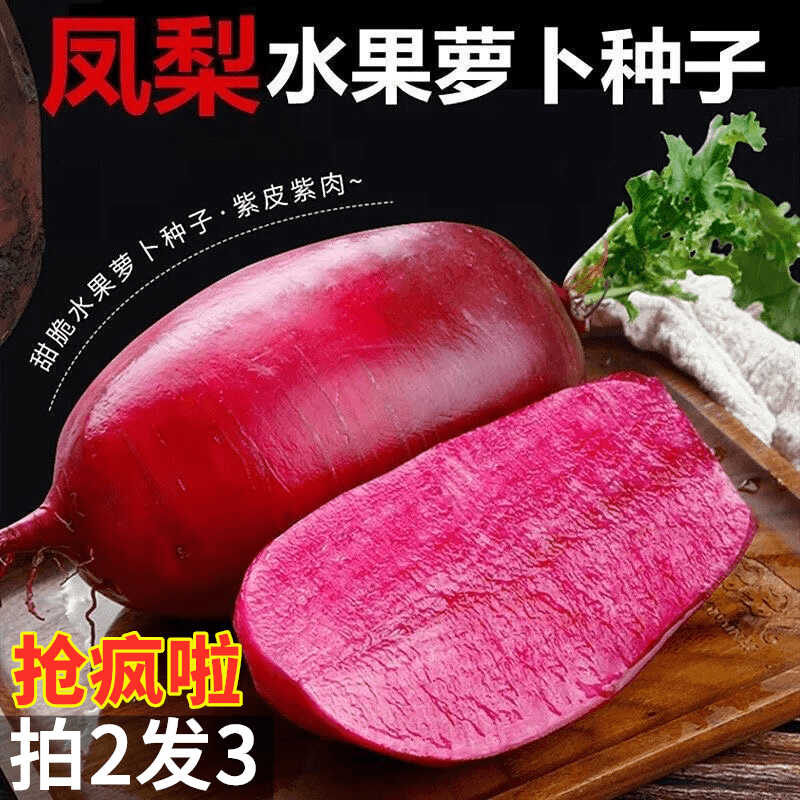 凤梨萝卜种子甜脆水果红皮