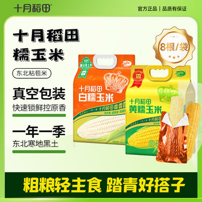 十月稻田东北真空锁鲜糯玉米