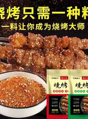 淘小生烤肉蘸料烧烤羊肉串调味料